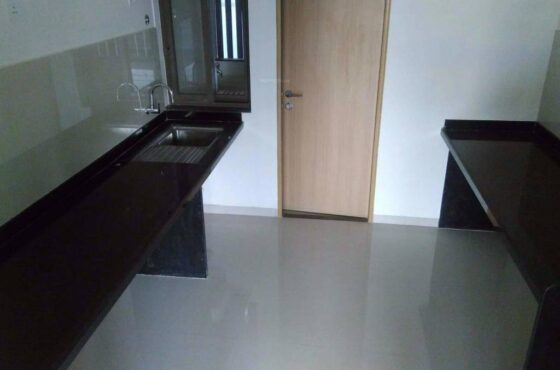 Enerrgia Songbirds Phase E